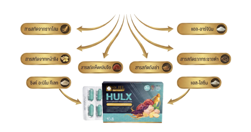 กระบวนการสกัดและส่วนประกอบ Dr.X Hulx ยาอึดทน ยาทน